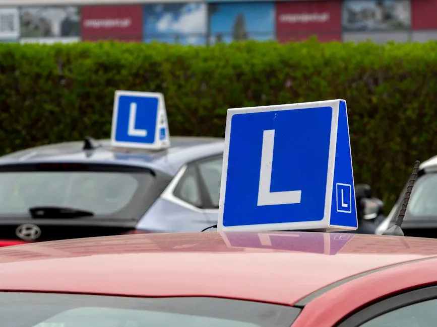 Scoring Nacional de Licencias de Conducir: Cómo Funciona y Evita Perder Puntos